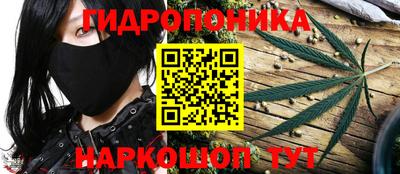 наркотики Брянск