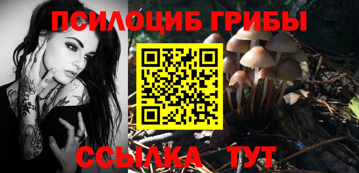 Галлюциногенные грибы мицелий Богданович