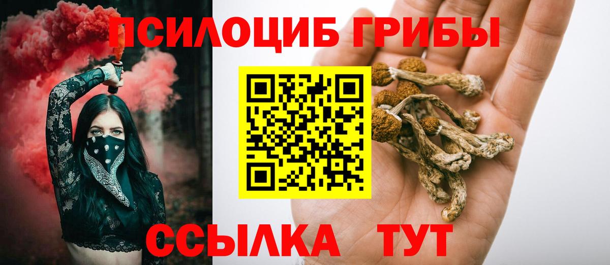 Богданович  Галлюциногенные грибы ЛСД  Вход с VPN 